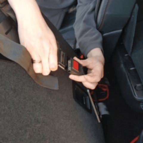 Magnetic Harness