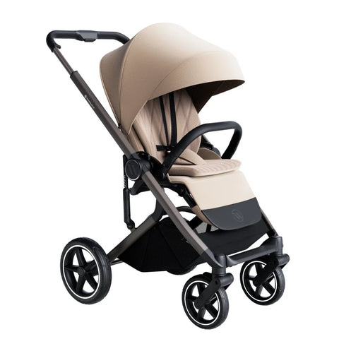Avionaut Sirius 2 (2-in-1)