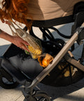 Avionaut Avionaut Sirius 2 (2-in-1) - Prams and Pushchairs
