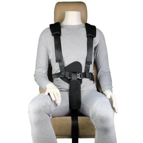 In Car Safety Centre Push Button Harness - Accessories