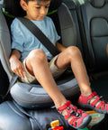 Swandoo Swandoo Universal Car Seat Protector - Accessories