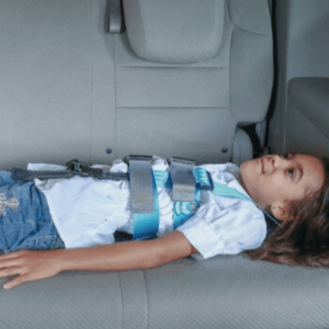 Child safety harness car hot sale